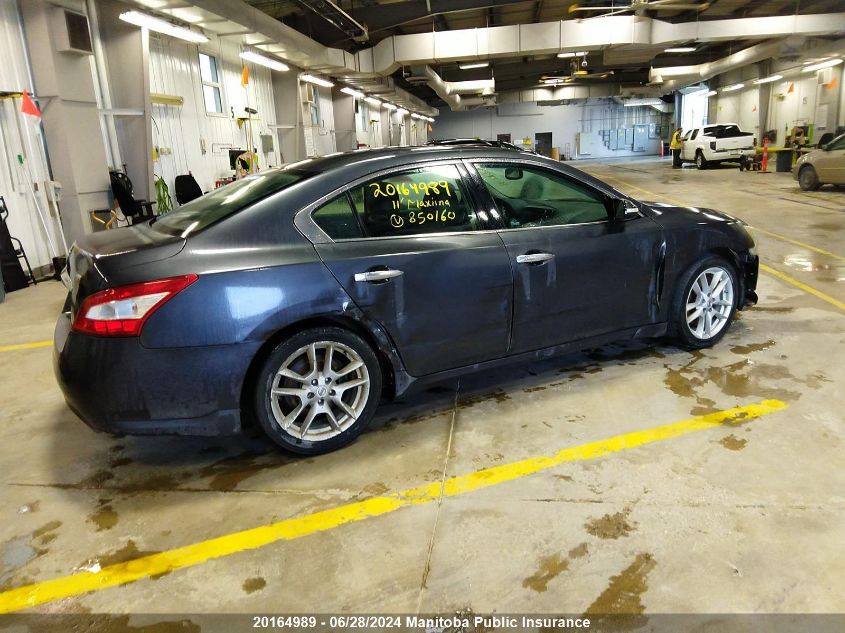 2011 Nissan Maxima 3.5 S VIN: 1N4AA5AP5BC850160 Lot: 20164989