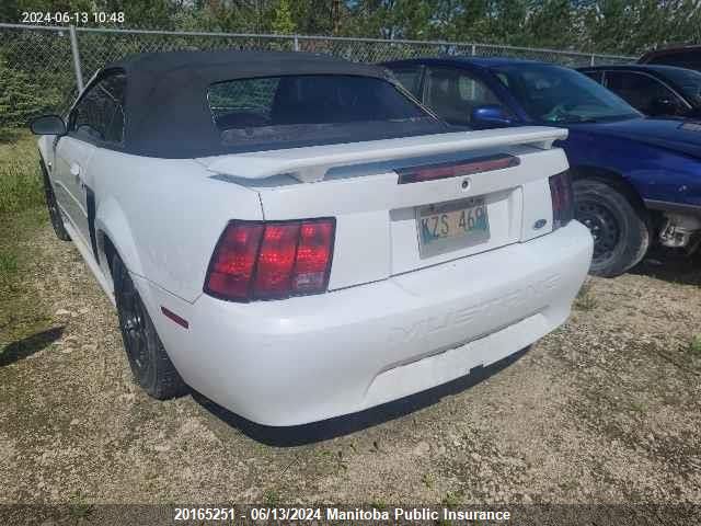 2004 Ford Mustang VIN: 1FAFP44644F228202 Lot: 20165251