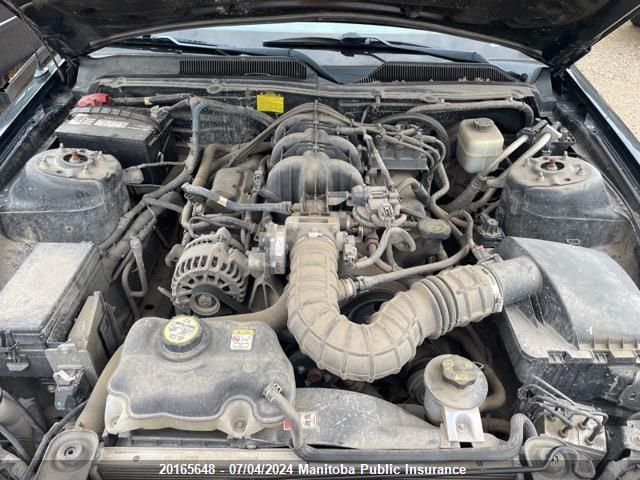 2008 Ford Mustang VIN: 1ZVHT80N385197732 Lot: 20165648