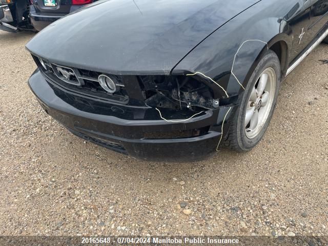 2008 Ford Mustang VIN: 1ZVHT80N385197732 Lot: 20165648