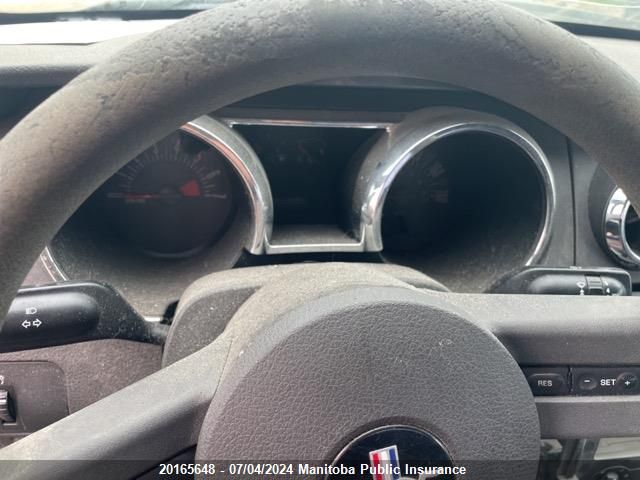 2008 Ford Mustang VIN: 1ZVHT80N385197732 Lot: 20165648