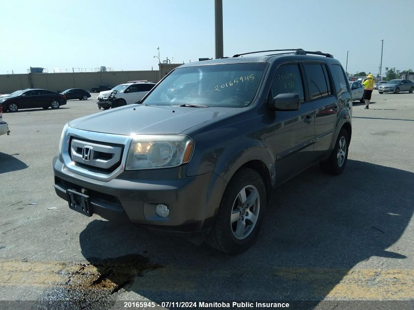 2011 Honda Pilot Ex-L VIN: 5FNYF4H64BB505741 Lot: 20165945