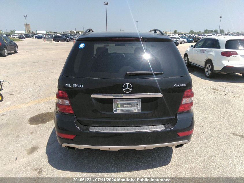 2009 Mercedes Benz Ml350 VIN: 4JGBB86E69A497983 Lot: 20166122