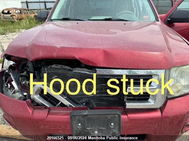 2008 Ford Escape Xlt V6 VIN: 1FMCU93198KD89940 Lot: 20166525