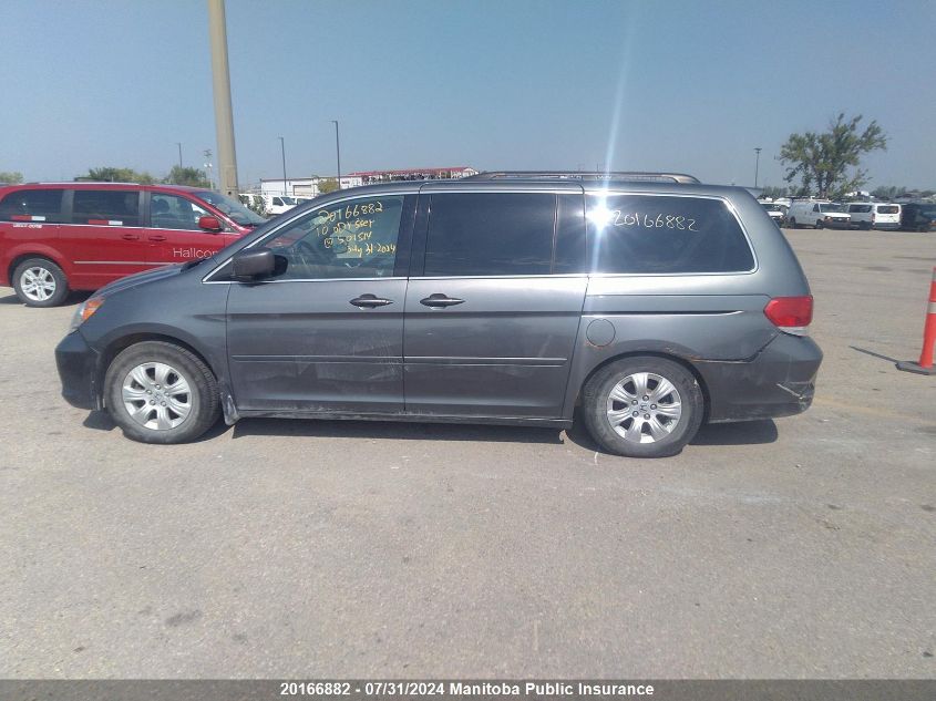 2010 Honda Odyssey Dx VIN: 5FNRL3H5XAB501514 Lot: 20166882