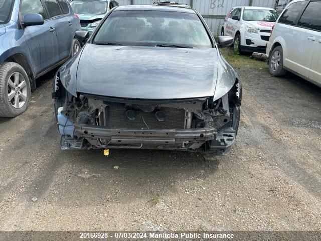 2009 Honda Accord Ex-L VIN: 1HGCS12899A800997 Lot: 20166928