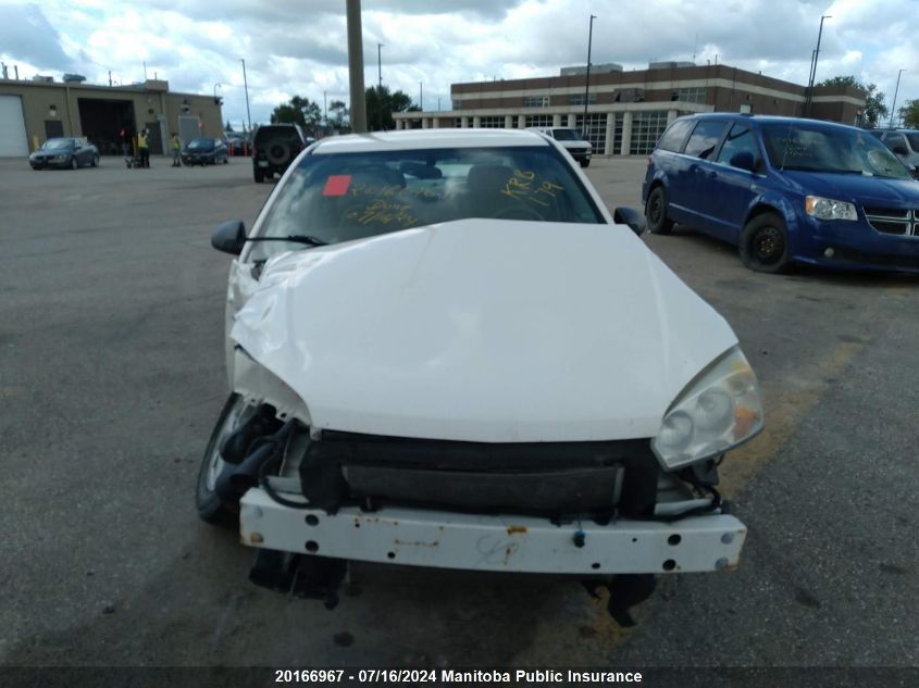 2005 Chevrolet Malibu Ls VIN: 1G1ZT52865F191967 Lot: 20166967