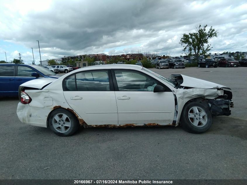 2005 Chevrolet Malibu Ls VIN: 1G1ZT52865F191967 Lot: 20166967