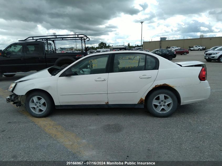 2005 Chevrolet Malibu Ls VIN: 1G1ZT52865F191967 Lot: 20166967