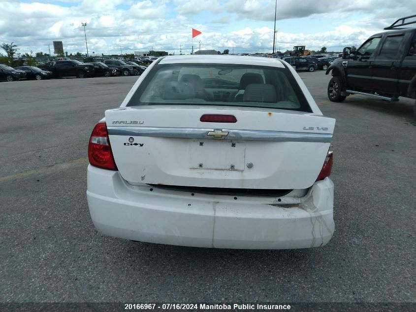 2005 Chevrolet Malibu Ls VIN: 1G1ZT52865F191967 Lot: 20166967