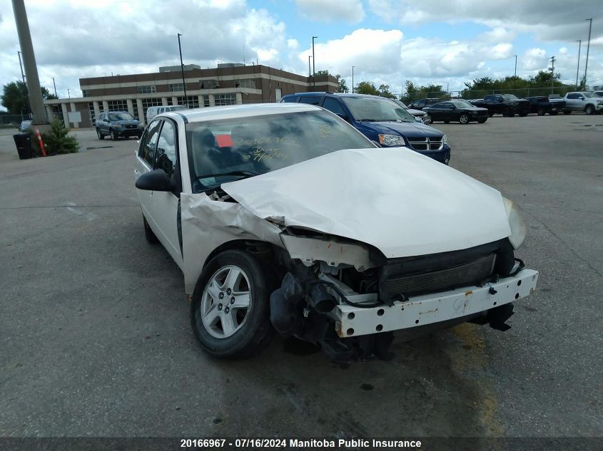 2005 Chevrolet Malibu Ls VIN: 1G1ZT52865F191967 Lot: 20166967