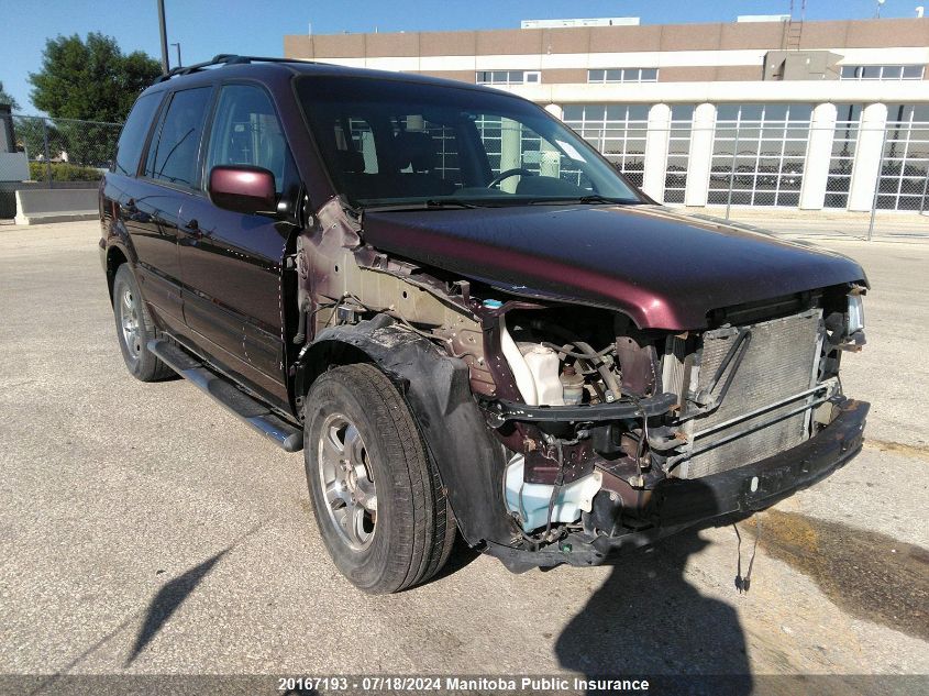 2007 Honda Pilot Ex VIN: 5FNYF18797B030196 Lot: 20167193