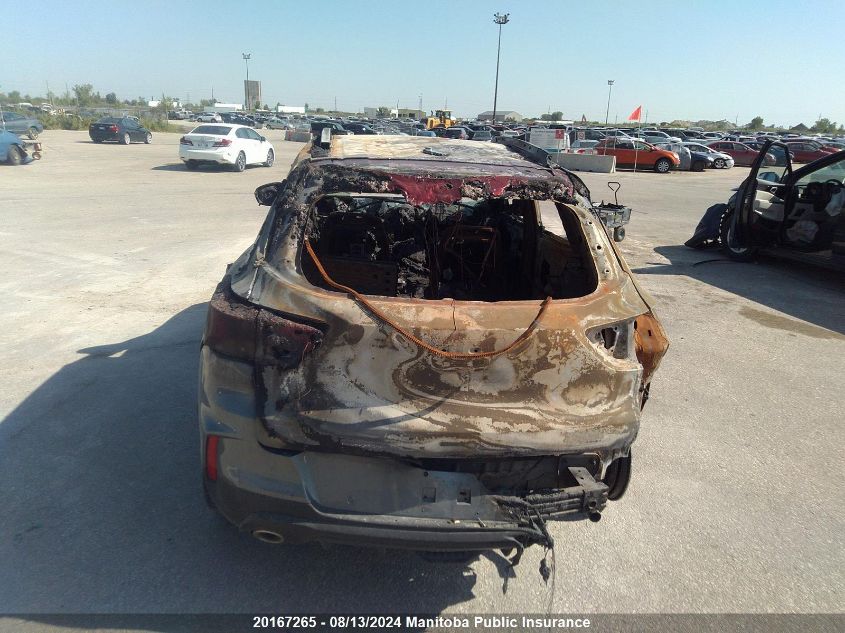 2022 Chevrolet Trailblazer Rs Turbo VIN: KL79MUSL8NB040040 Lot: 20167265