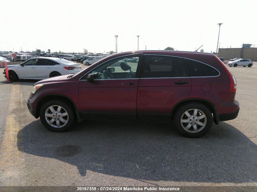 2007 Honda Cr-V Ex VIN: 5J6RE48507L811204 Lot: 20167359