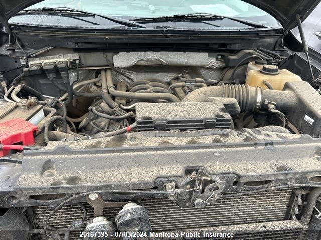 2013 Ford F-150 Xlt VIN: 1FTFW1EF2DKD85163 Lot: 20167395