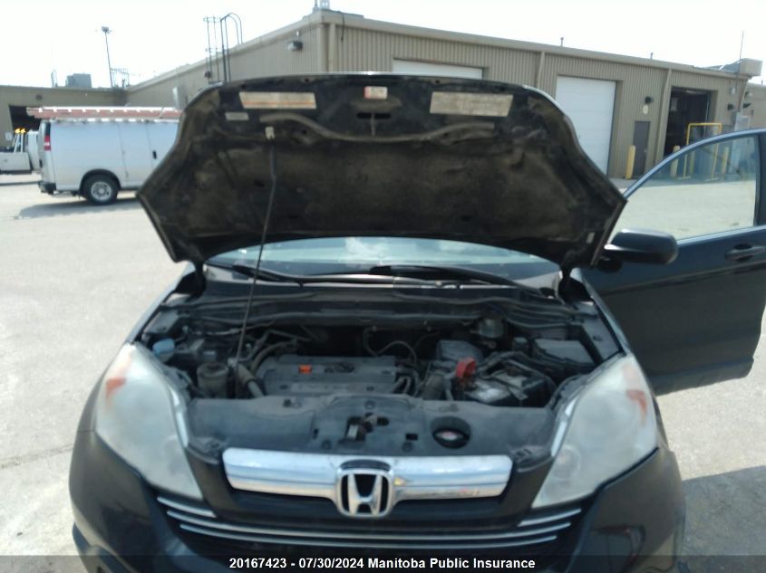 2009 Honda Cr-V Ex VIN: 5J6RE38579L800729 Lot: 20167423