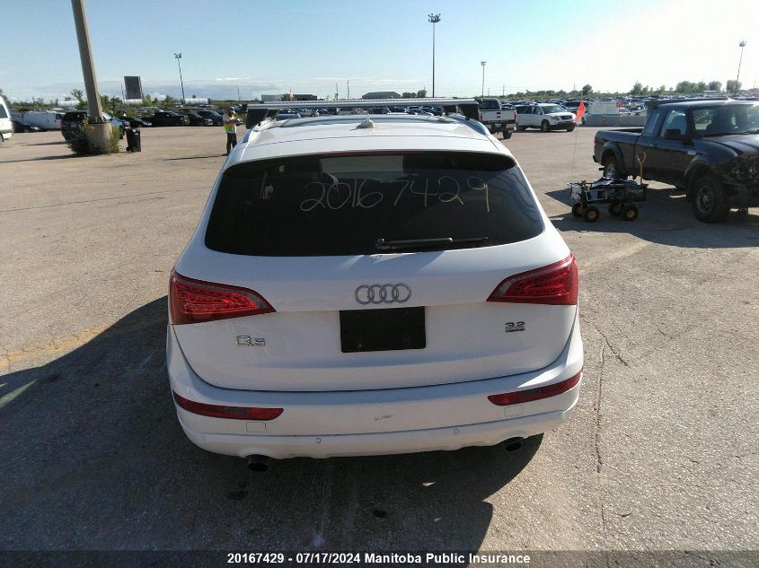 2010 Audi Q5 V6 VIN: WA1LKCFP8AA033203 Lot: 20167429