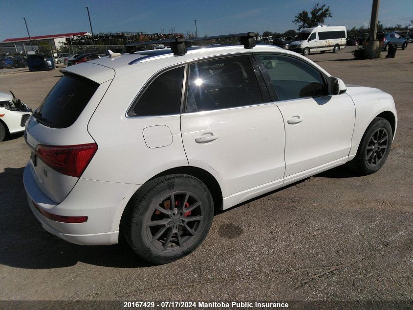 2010 Audi Q5 V6 VIN: WA1LKCFP8AA033203 Lot: 20167429