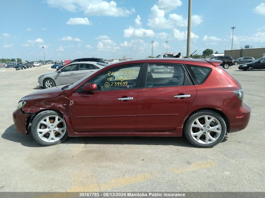 2009 Mazda Mazda3 Sport Gt VIN: JM1BK343891239599 Lot: 20167785