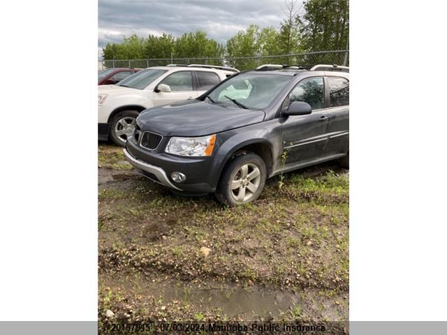 2009 Pontiac Torrent VIN: 2CKDL43F196220499 Lot: 20167915