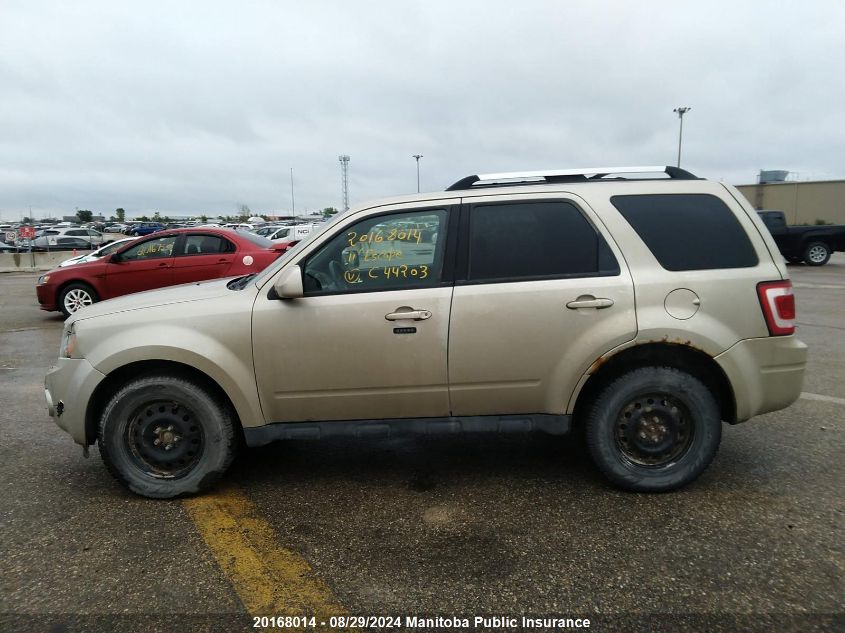 2011 Ford Escape Limited V6 VIN: 1FMCU9EG6BKC44203 Lot: 20168014