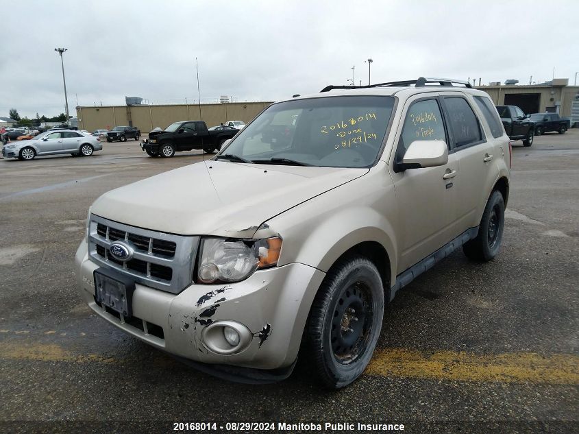 2011 Ford Escape Limited V6 VIN: 1FMCU9EG6BKC44203 Lot: 20168014