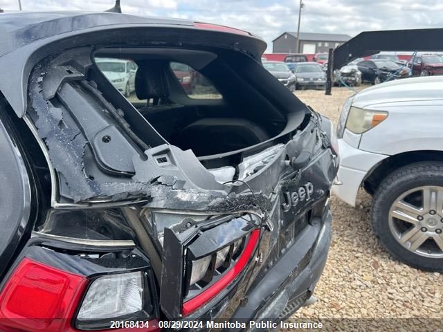 2019 Jeep Cherokee Trailhawk VIN: 1C4PJMBX0KD406630 Lot: 20168434