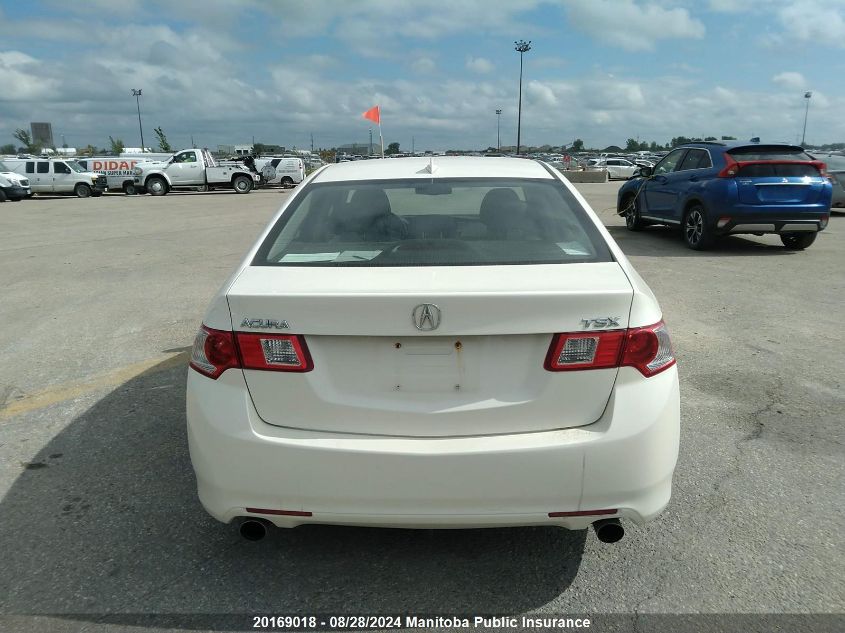 2009 Acura Tsx VIN: JH4CU26639C802884 Lot: 20169018