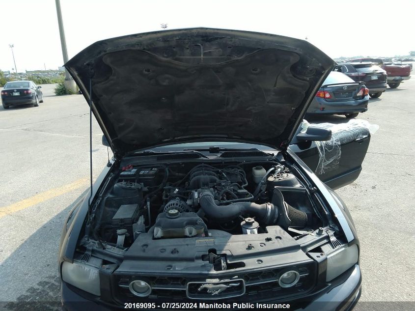 2008 Ford Mustang VIN: 1ZVHT80N085100132 Lot: 20169095