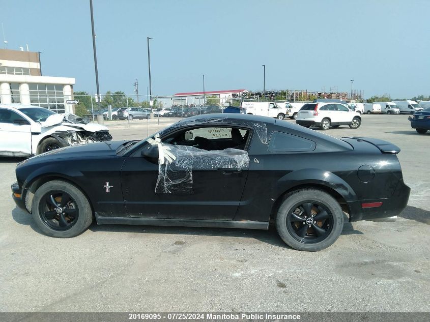 2008 Ford Mustang VIN: 1ZVHT80N085100132 Lot: 20169095