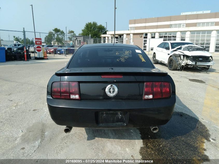 2008 Ford Mustang VIN: 1ZVHT80N085100132 Lot: 20169095