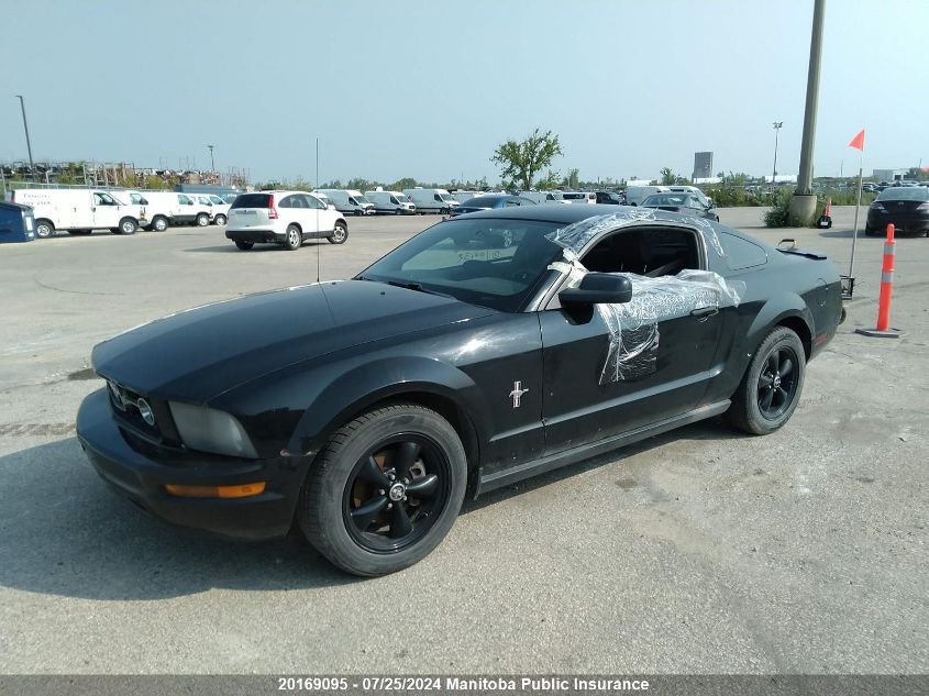 2008 Ford Mustang VIN: 1ZVHT80N085100132 Lot: 20169095