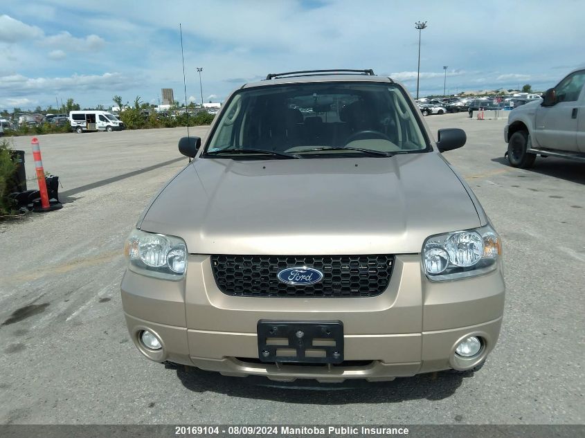 2007 Ford Escape Xlt V6 VIN: 1FMYU93177KB23711 Lot: 20169104
