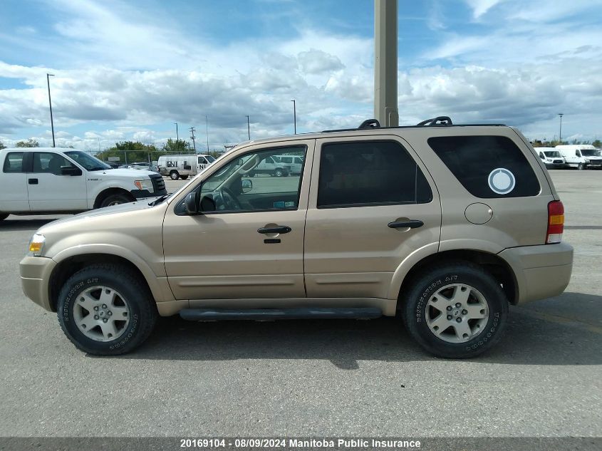 2007 Ford Escape Xlt V6 VIN: 1FMYU93177KB23711 Lot: 20169104