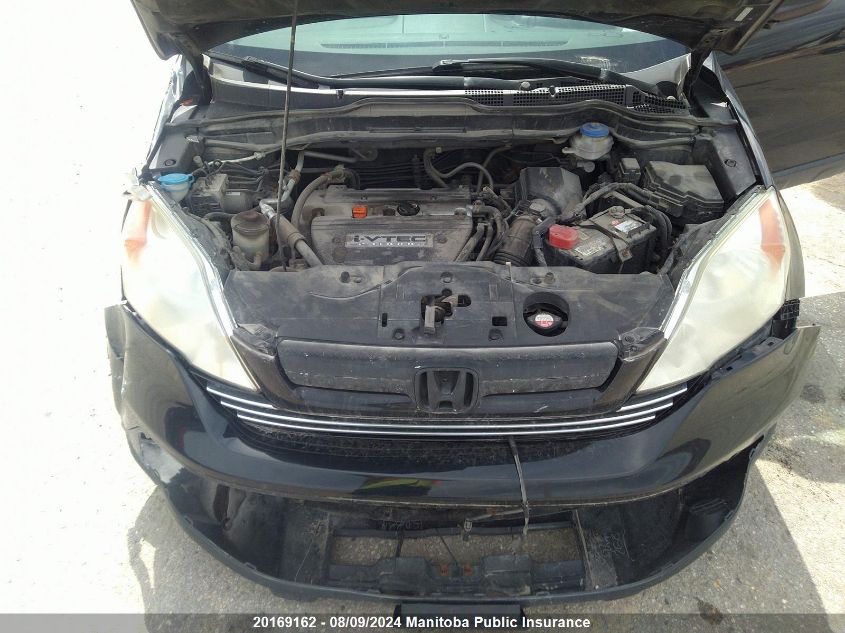 2007 Honda Cr-V Ex VIN: 5J6RE485X7L800632 Lot: 20169162