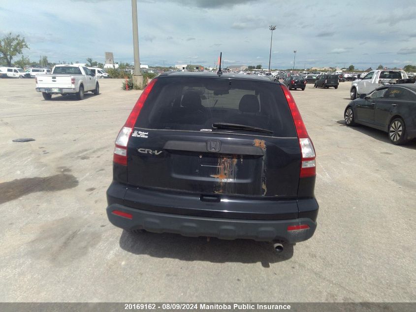 2007 Honda Cr-V Ex VIN: 5J6RE485X7L800632 Lot: 20169162