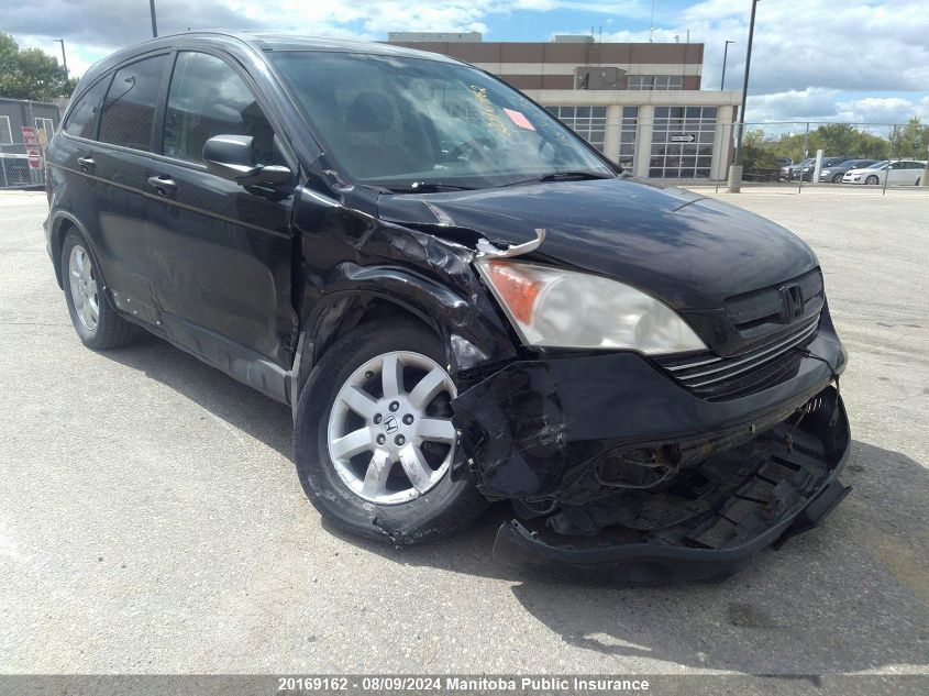 2007 Honda Cr-V Ex VIN: 5J6RE485X7L800632 Lot: 20169162