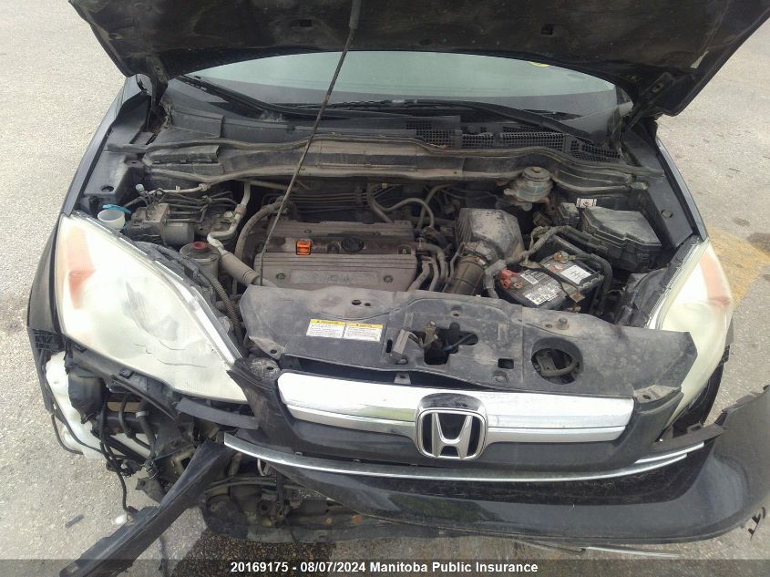 2009 Honda Cr-V Ex VIN: 5J6RE485X9L813125 Lot: 20169175