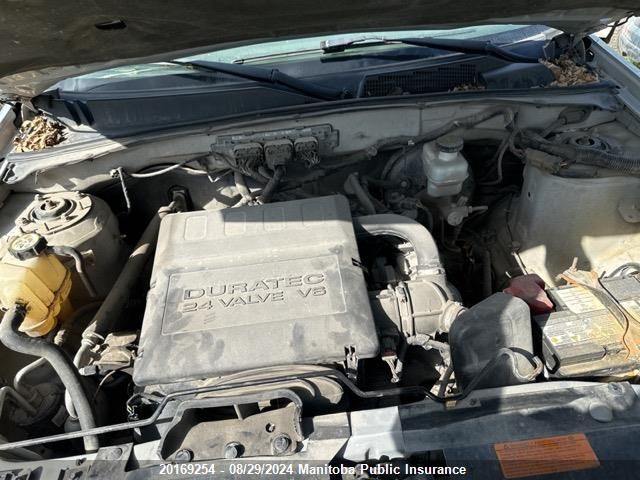 2009 Ford Escape Xlt V6 VIN: 1FMCU93G59KA11362 Lot: 20169254