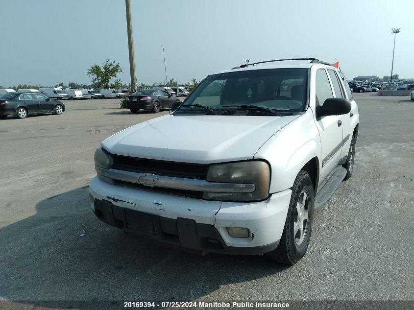 2002 Chevrolet Trailblazer VIN: 1GNDT13SX22315530 Lot: 20169394