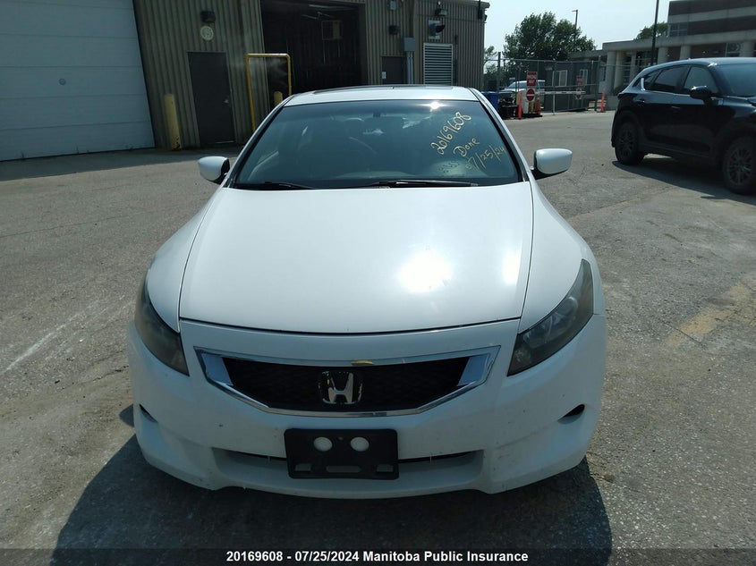 2010 Honda Accord Ex-L VIN: 1HGCS1B86AA800783 Lot: 20169608