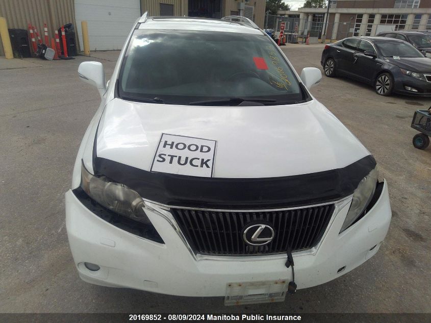 2010 Lexus Rx350 VIN: 2T2BK1BA8AC003939 Lot: 20169852