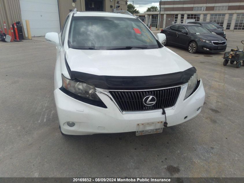 2010 Lexus Rx350 VIN: 2T2BK1BA8AC003939 Lot: 20169852