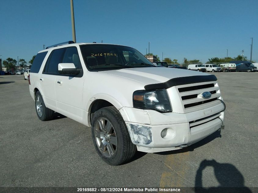 2009 Ford Expedition Limited VIN: 1FMFU20509EA64816 Lot: 20169882