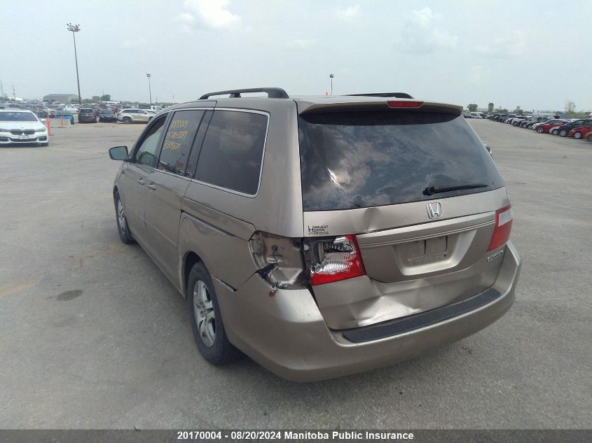 2005 Honda Odyssey Ex-L VIN: 5FNRL38655B509325 Lot: 20170004