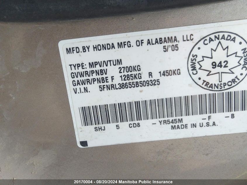 2005 Honda Odyssey Ex-L VIN: 5FNRL38655B509325 Lot: 20170004