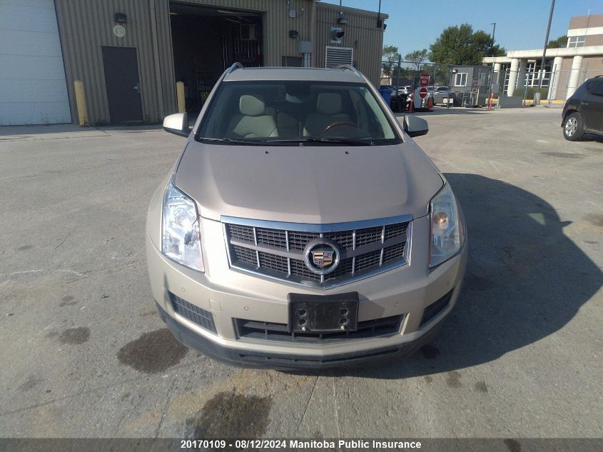 2010 Cadillac Srx V6 VIN: 3GYFNDEY9AS550710 Lot: 20170109