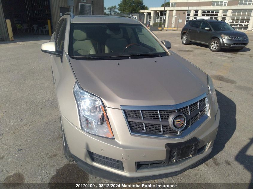 2010 Cadillac Srx V6 VIN: 3GYFNDEY9AS550710 Lot: 20170109