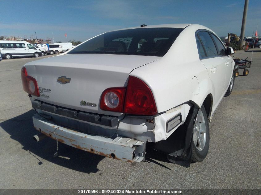 2008 Chevrolet Malibu Hybrid VIN: 1G1ZF57538F290398 Lot: 20170596