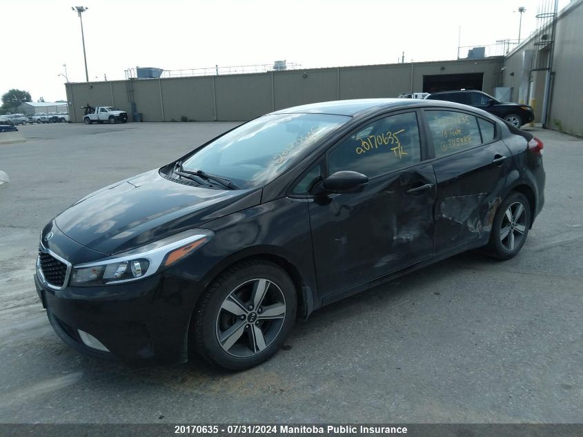 2018 Kia Forte Lx VIN: 3KPFL4A79JE245988 Lot: 20170635